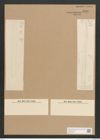 Diatomeae indet. Zeichnungen Sammlung Grunow Nr. 4500 (NHMW-BOT-W0372465)